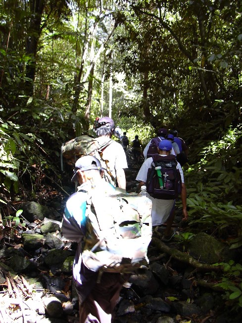 trekbukit.jpg